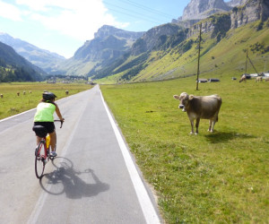Biking Touring the Alps | Switzerland