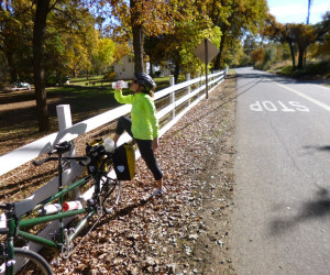 Post-Turkey Tandem Bike Tour | Sonora CA